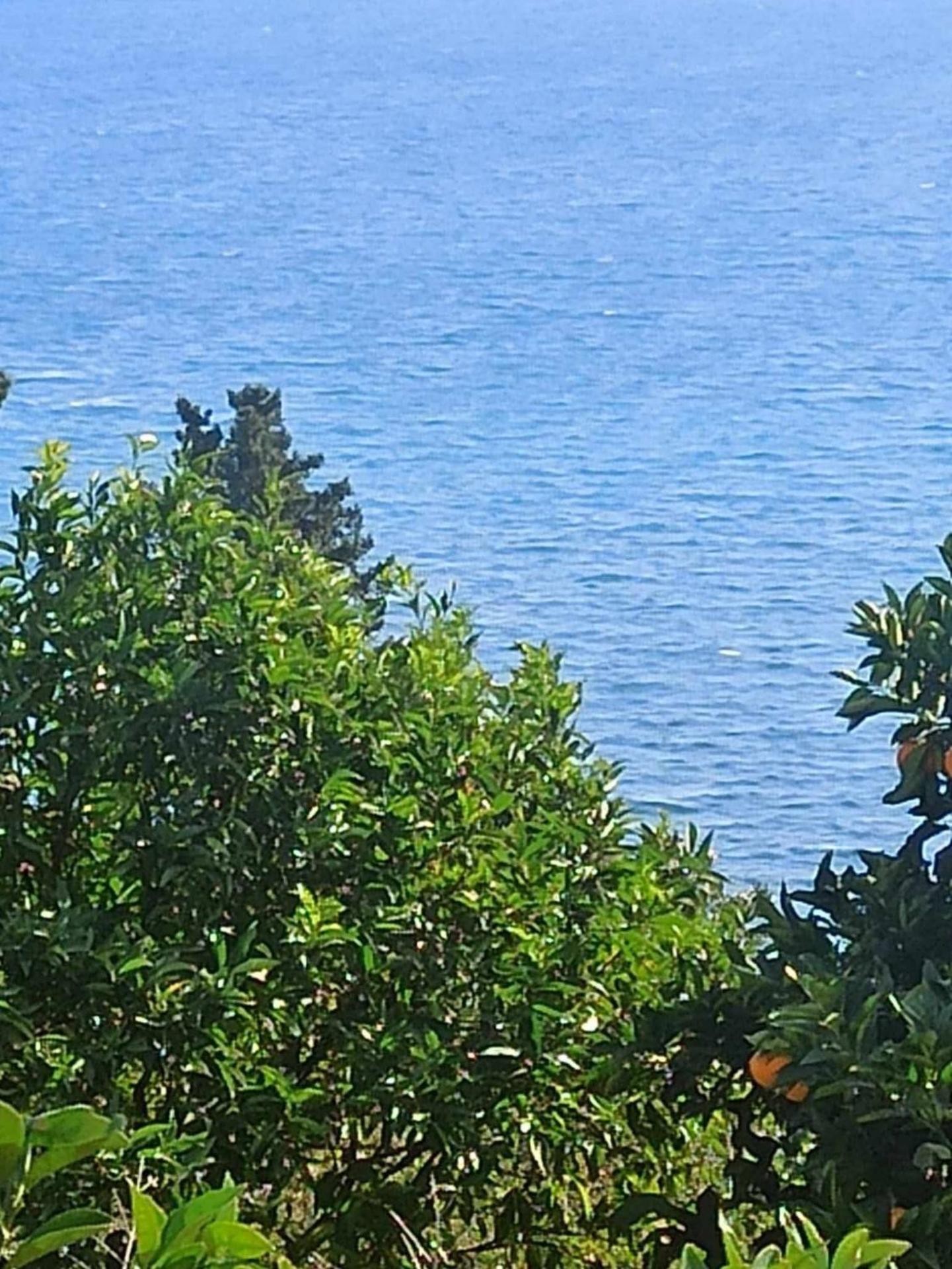 Takis & Eirini Family Apartments