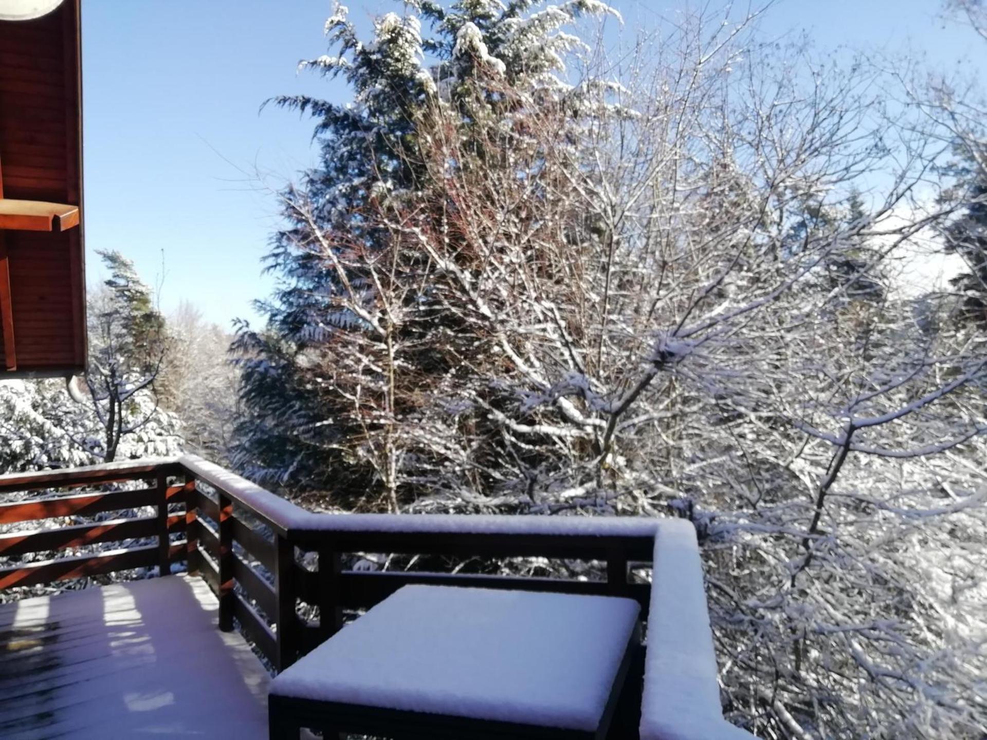 Gite Le Chalet SaintAnthème / Prabouré