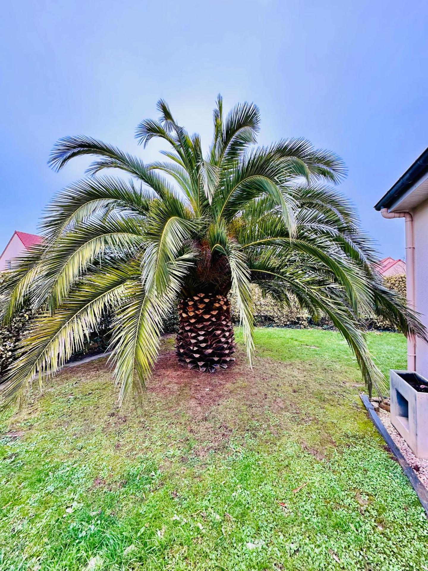 Les Palmiers gite 7 personnes plages du débarquement