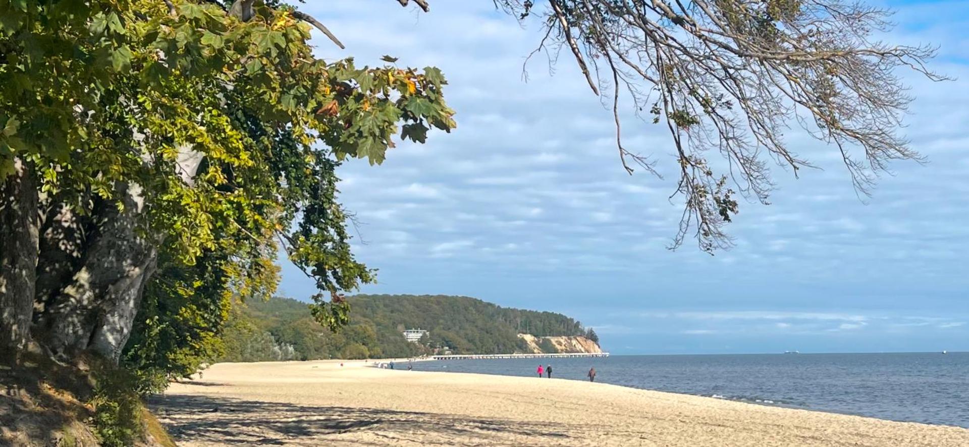 Apartamenty Typu Studio - Przy Plaży Gdynia Orłowo