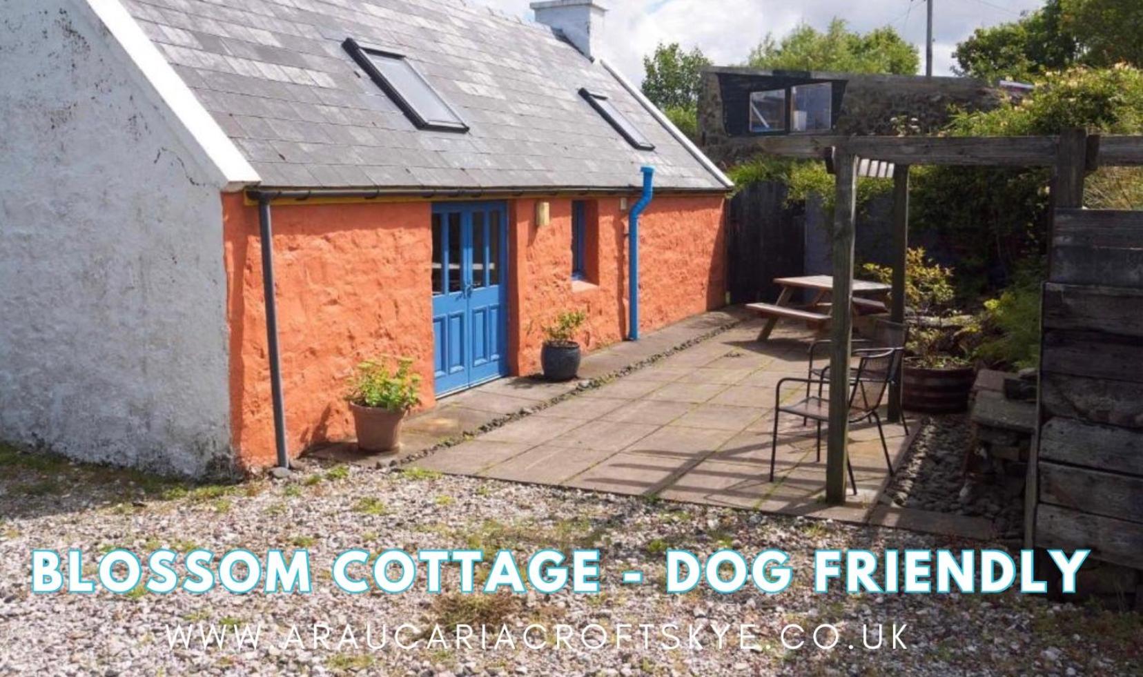 Araucaria Croft Skye