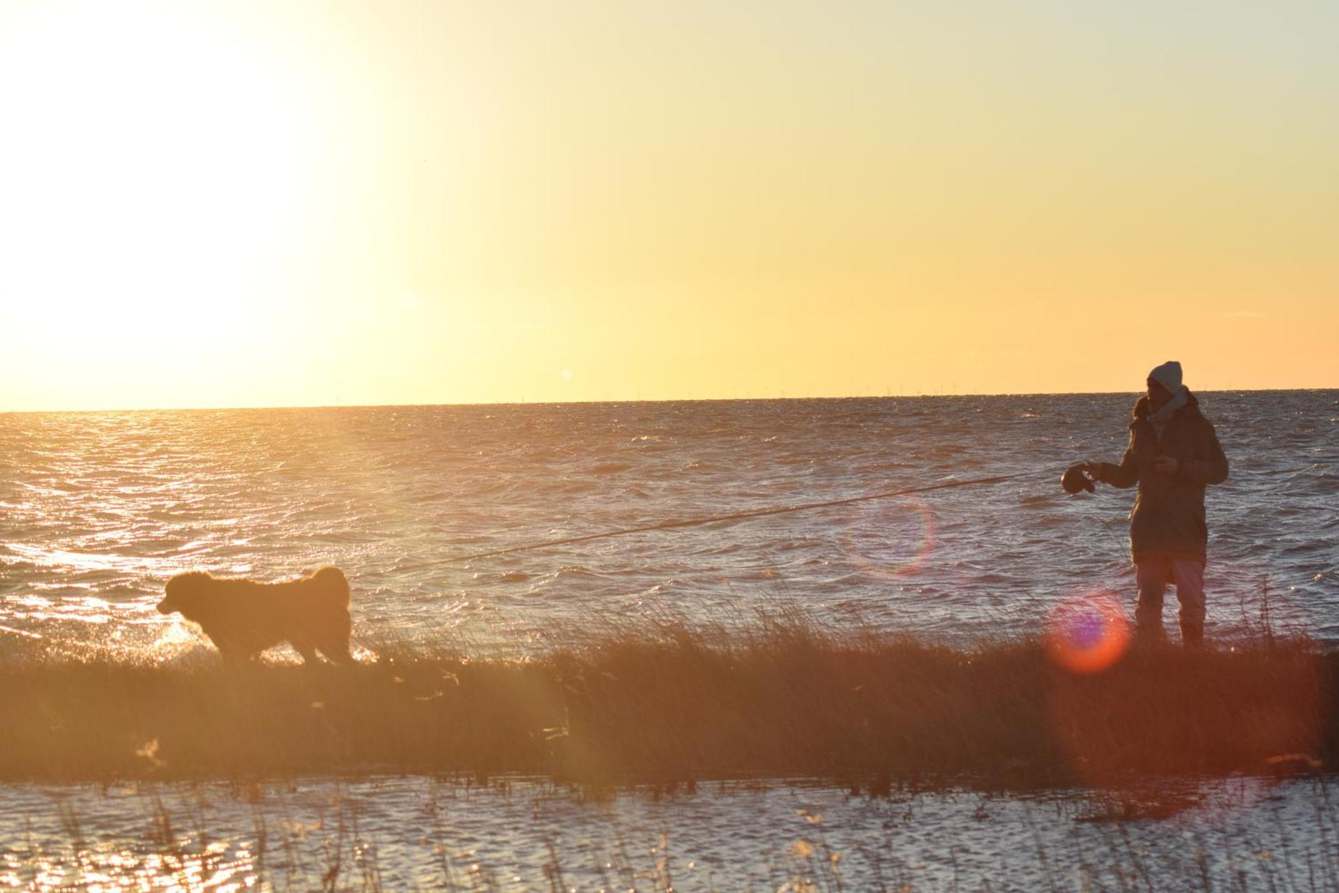 Ferienwohnung Chihuahua