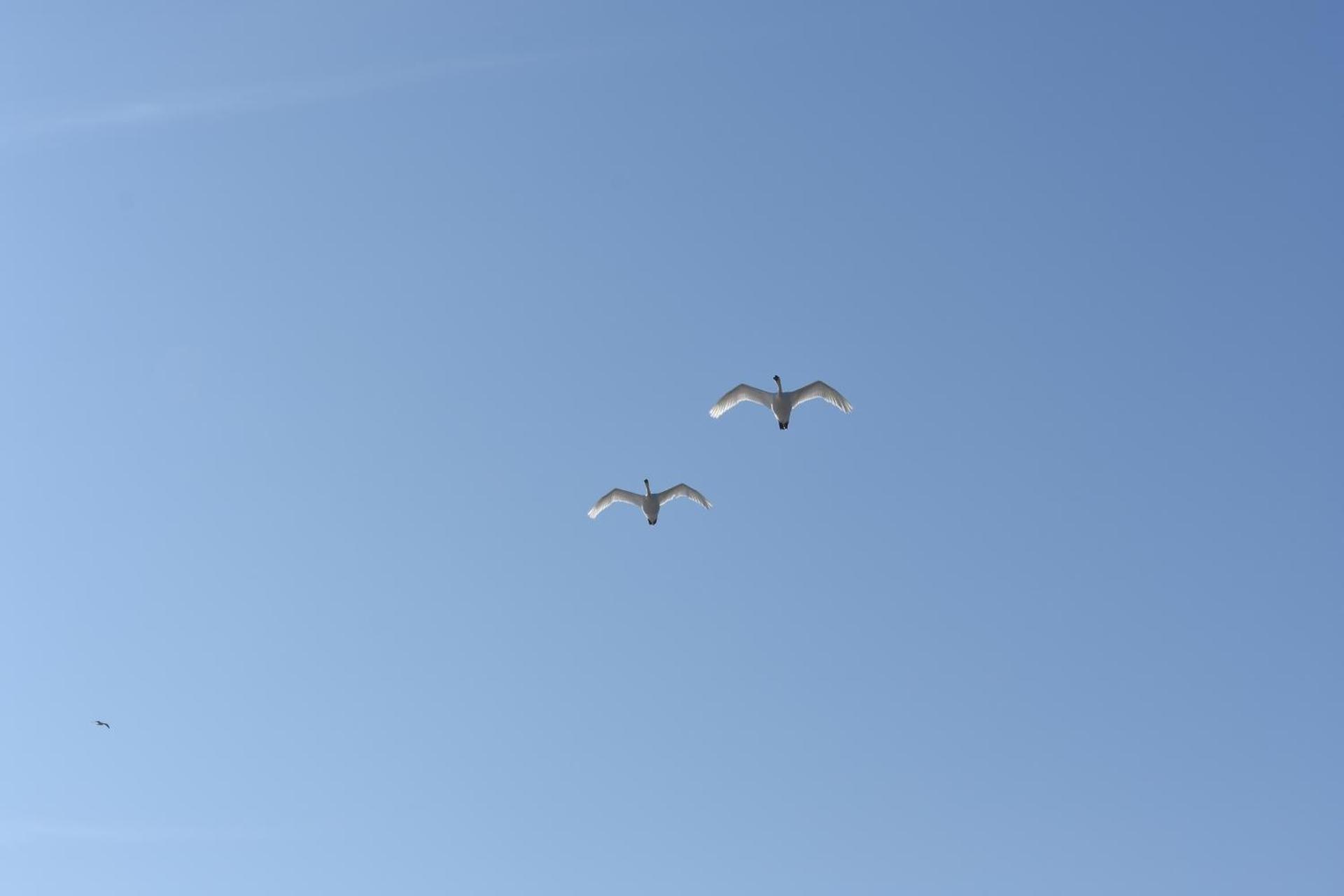 Ferienwohnung Chihuahua