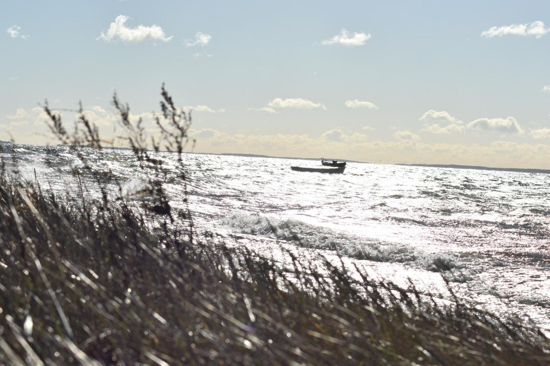 Ferienwohnung Chihuahua