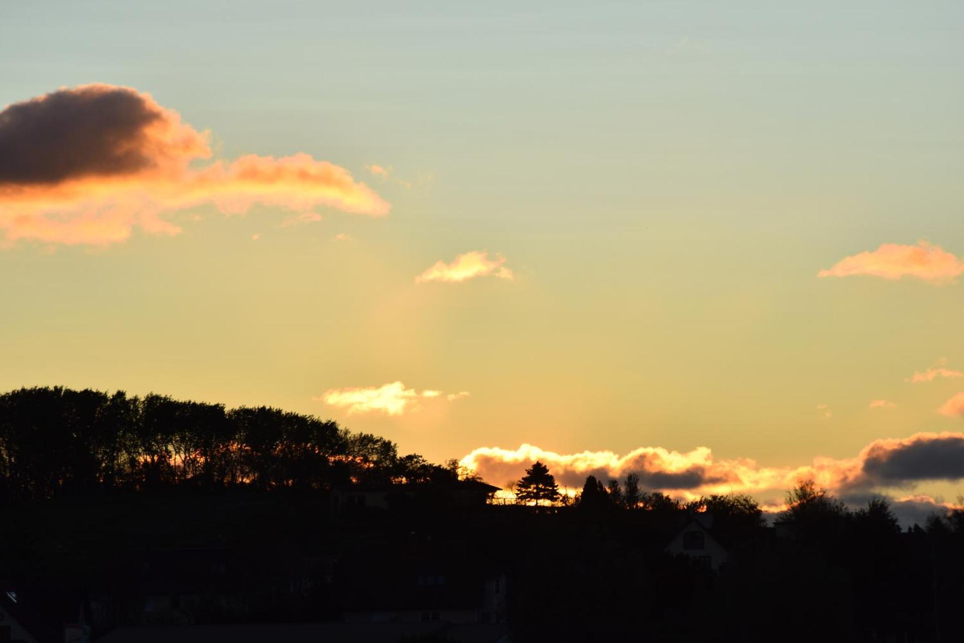 Ferienwohnung Chihuahua