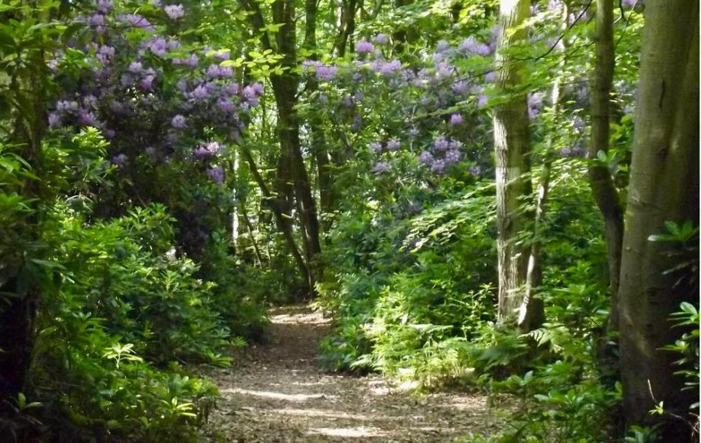 Les gîtes du Mesnil chambre deluxe