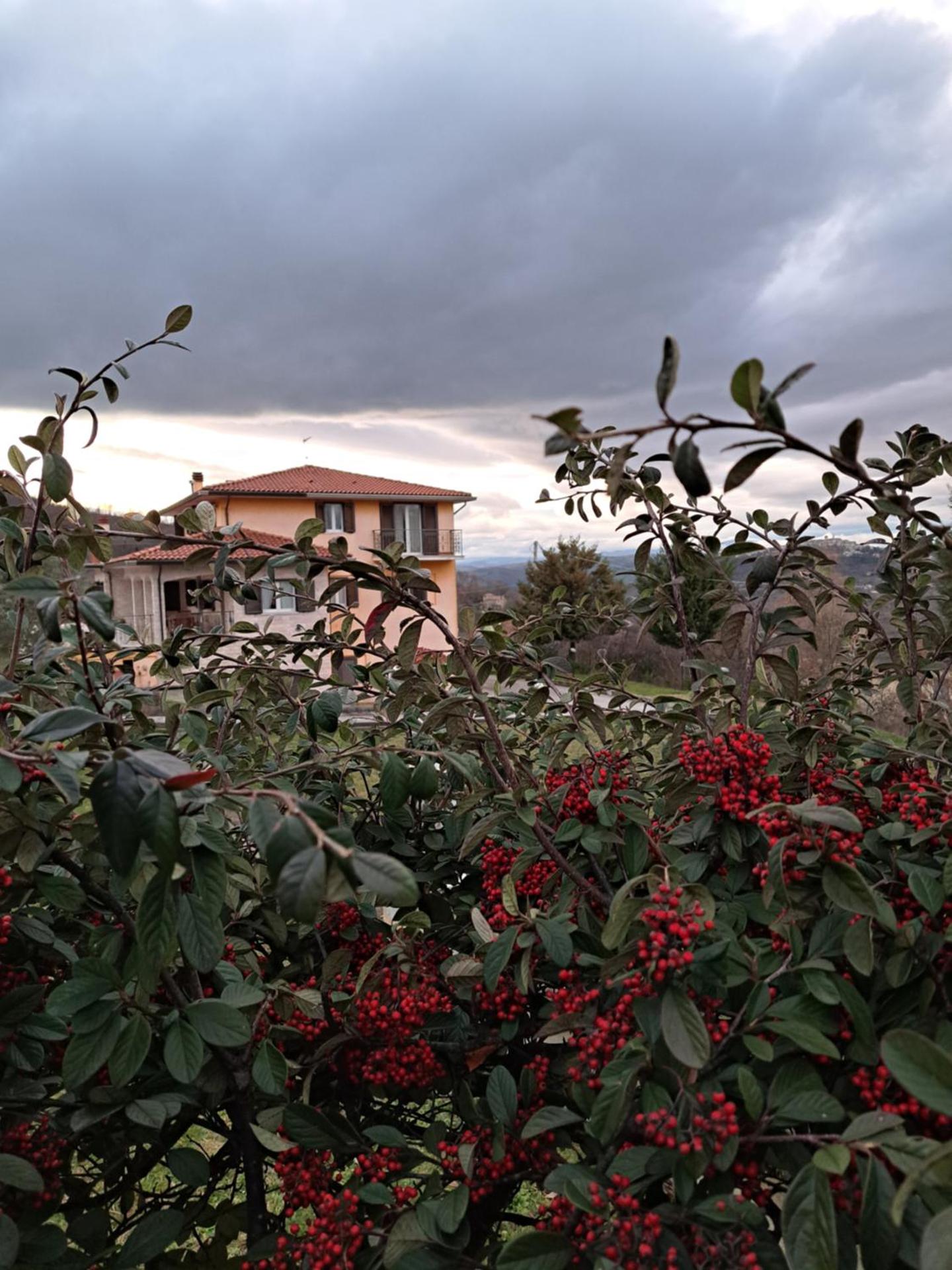 La casa di mezzo-affitti brevi-zona ospedali