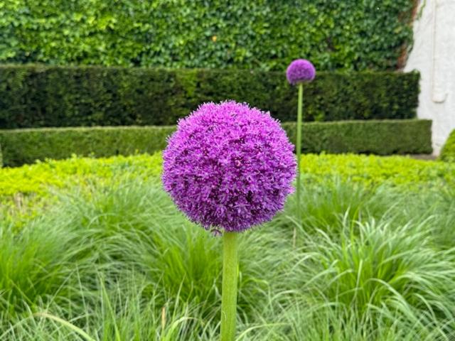 Zen Retreat met jacuzzi