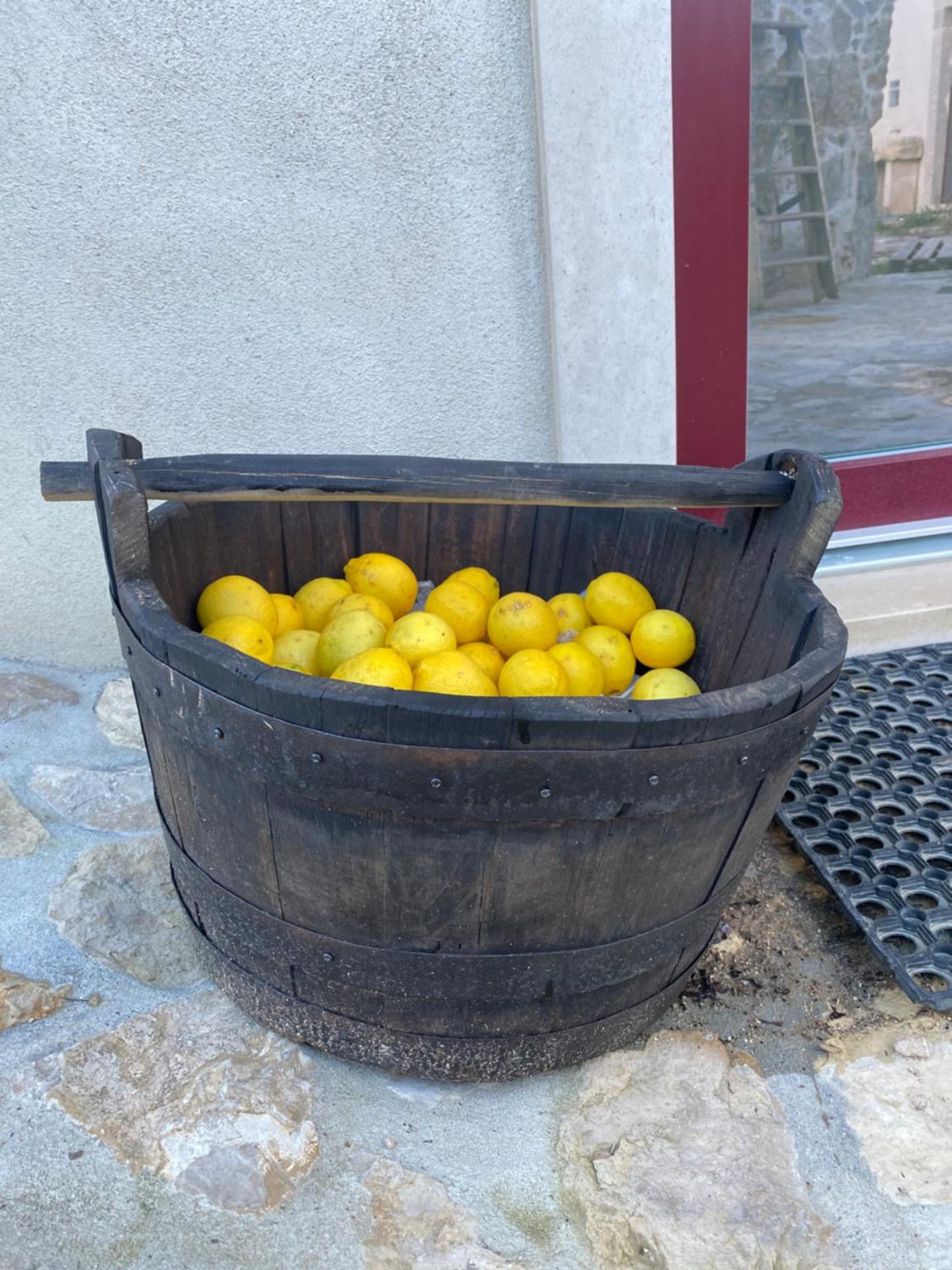 Casa da Lima Rabacal - Rest, Reflect, Reconnect in Nature