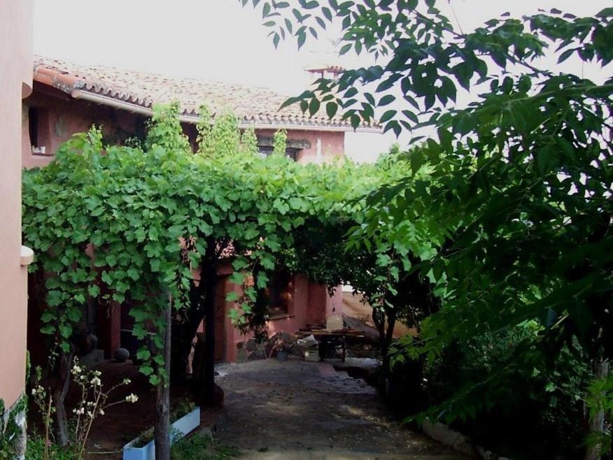 Acogedor apartamento al sur de la Sierra de Gredos