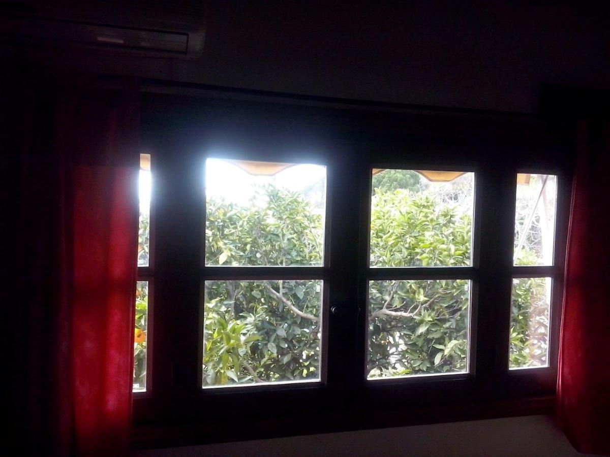 Acogedor apartamento al sur de la Sierra de Gredos