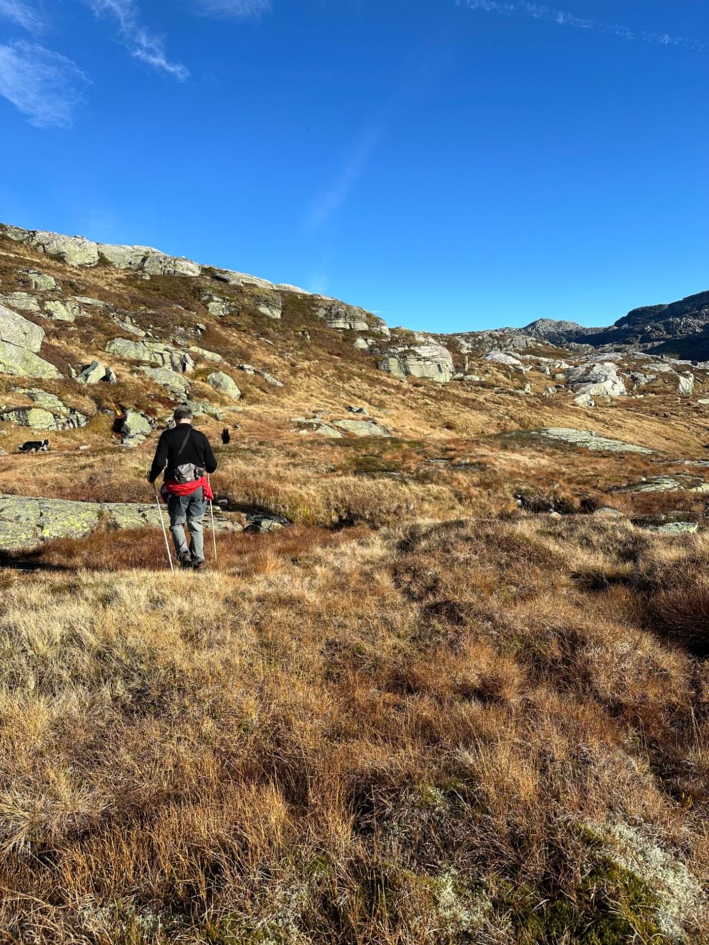 Akrafjorden Nature B&B AS