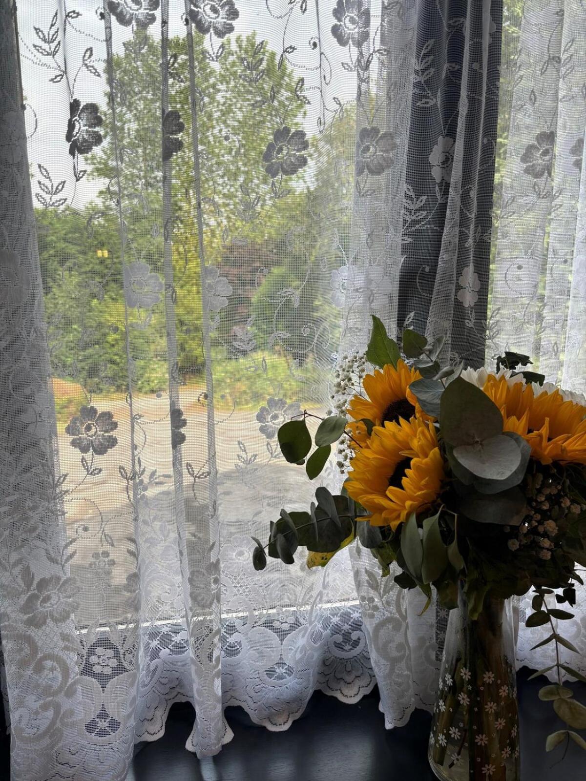 View (from property/room)