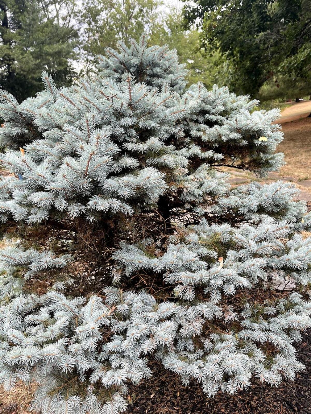 Bright, Airy Home in Hudson!