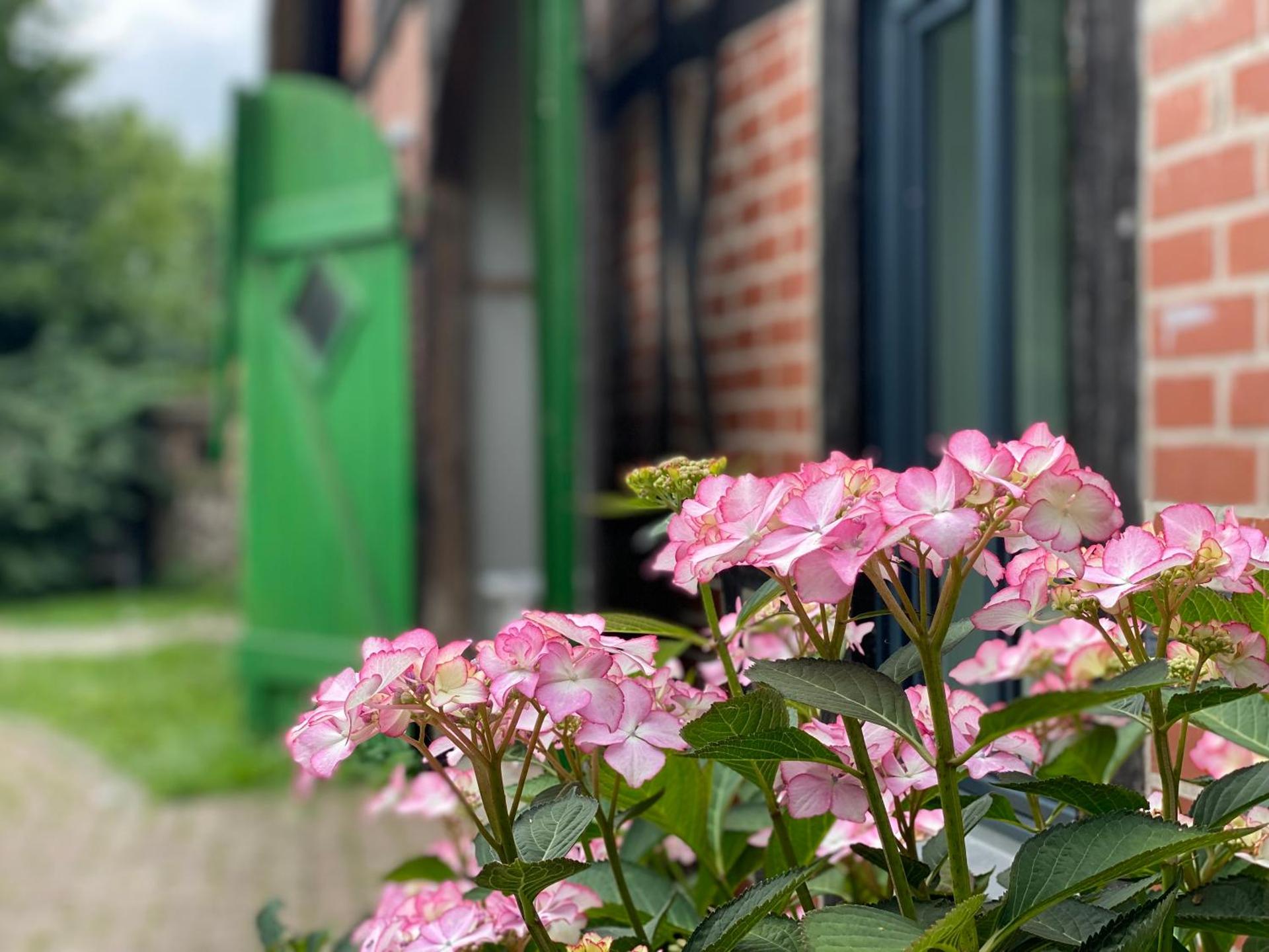 Reet-Cottage Nahe der Ostsee