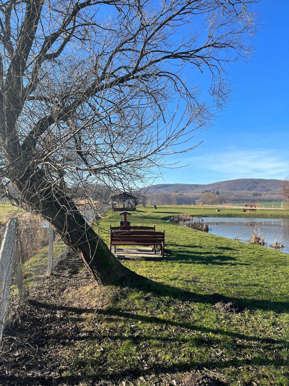 Tejfeles vendégház