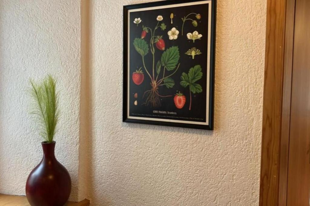 Revier Bliili und Spitzer