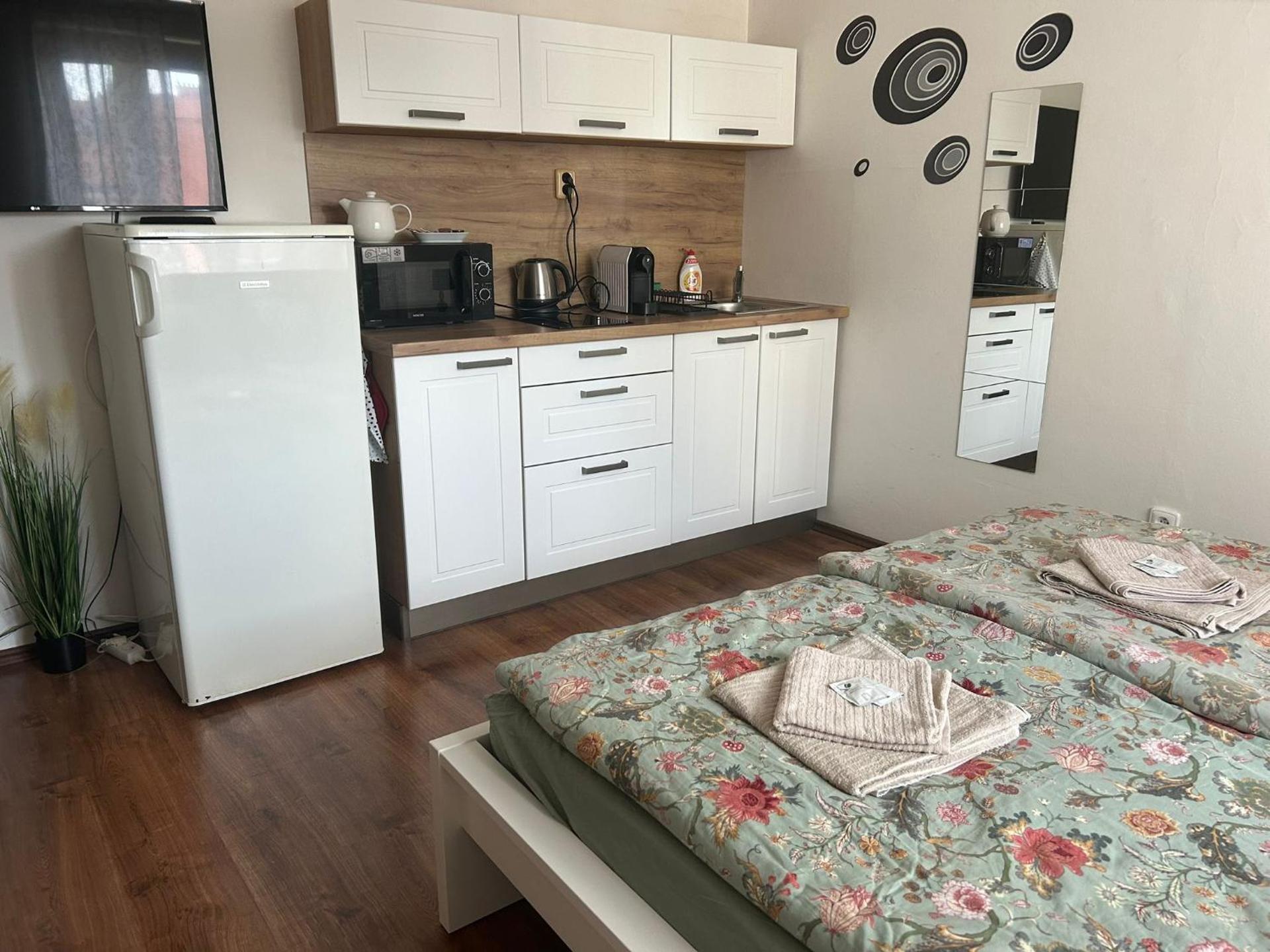 City Center Apartments - Moderna Brno Římské náměstí V