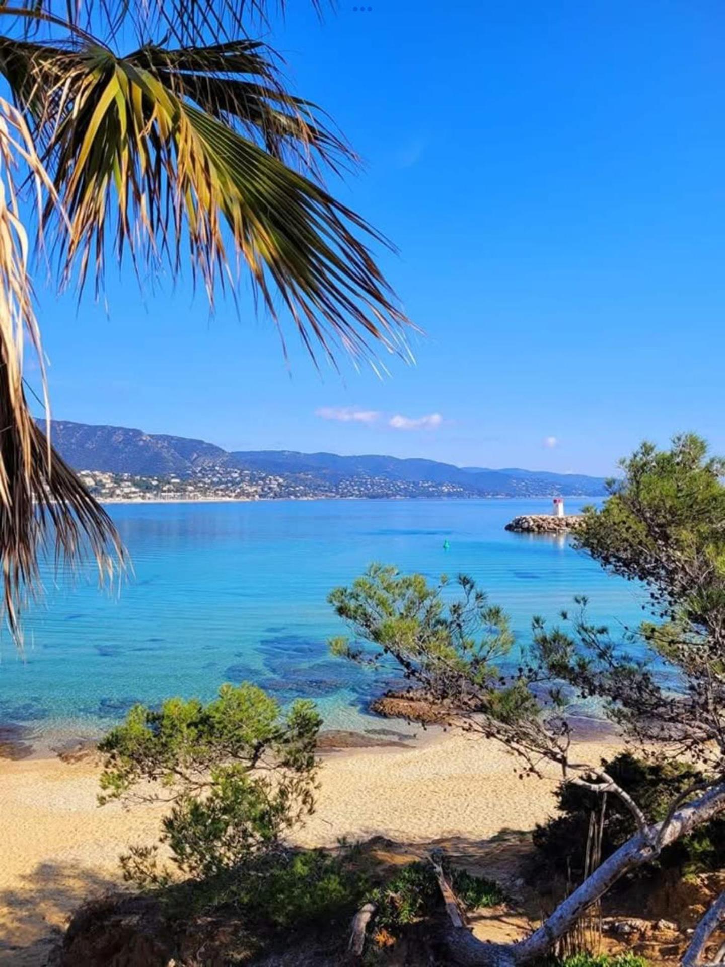 Appartement pieds dans l’eau Vue Mer Bormes Les Mimosas
