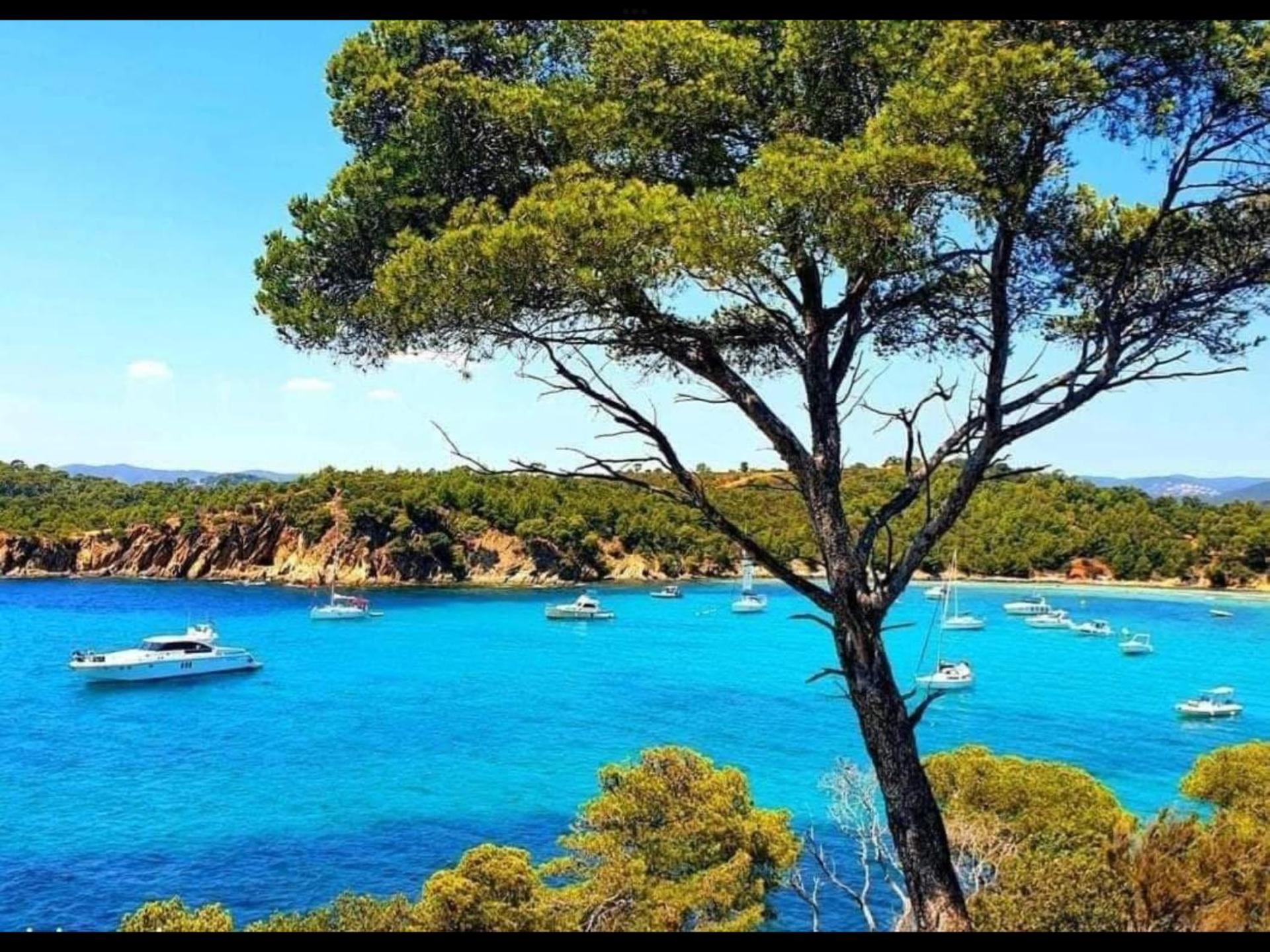 Appartement pieds dans l’eau Vue Mer Bormes Les Mimosas