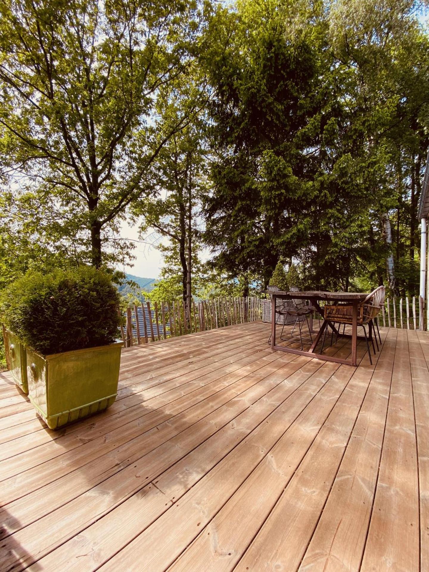 Le petit ours de Coo