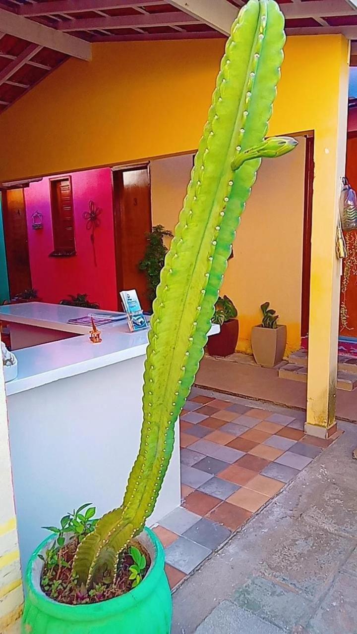 pousada malva branca