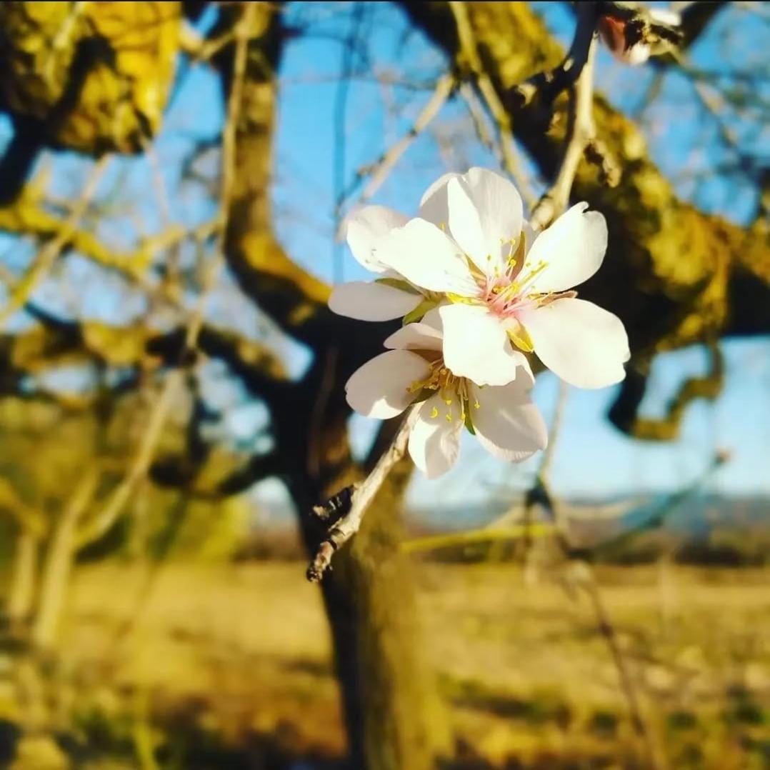 Casa con vistas, piscina y animales de granja, LA CASETA