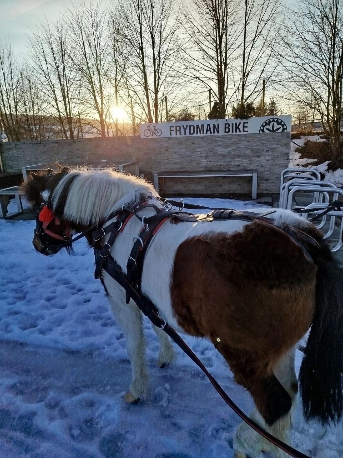 Apartament w Zagrodzie