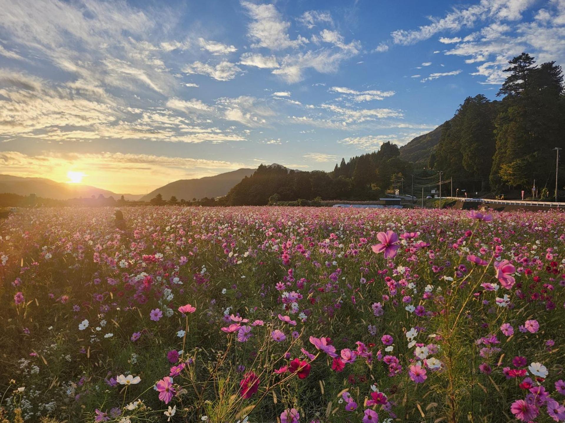 山斎ｰ勝山市の最北端に佇む一棟貸しの宿-