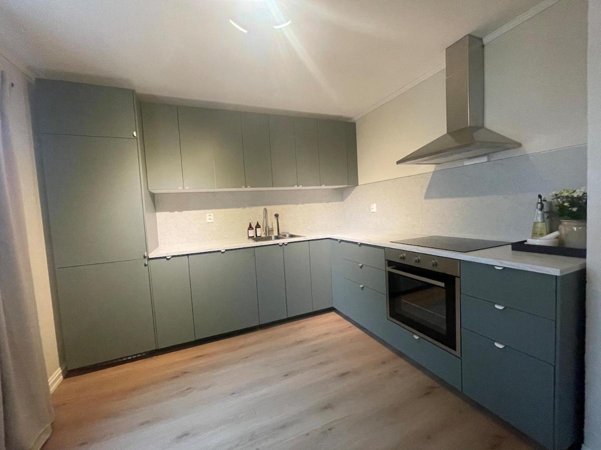 Newly renovated apartment for rent