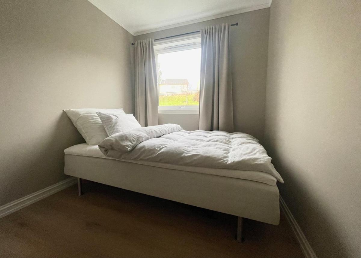 Newly renovated apartment for rent