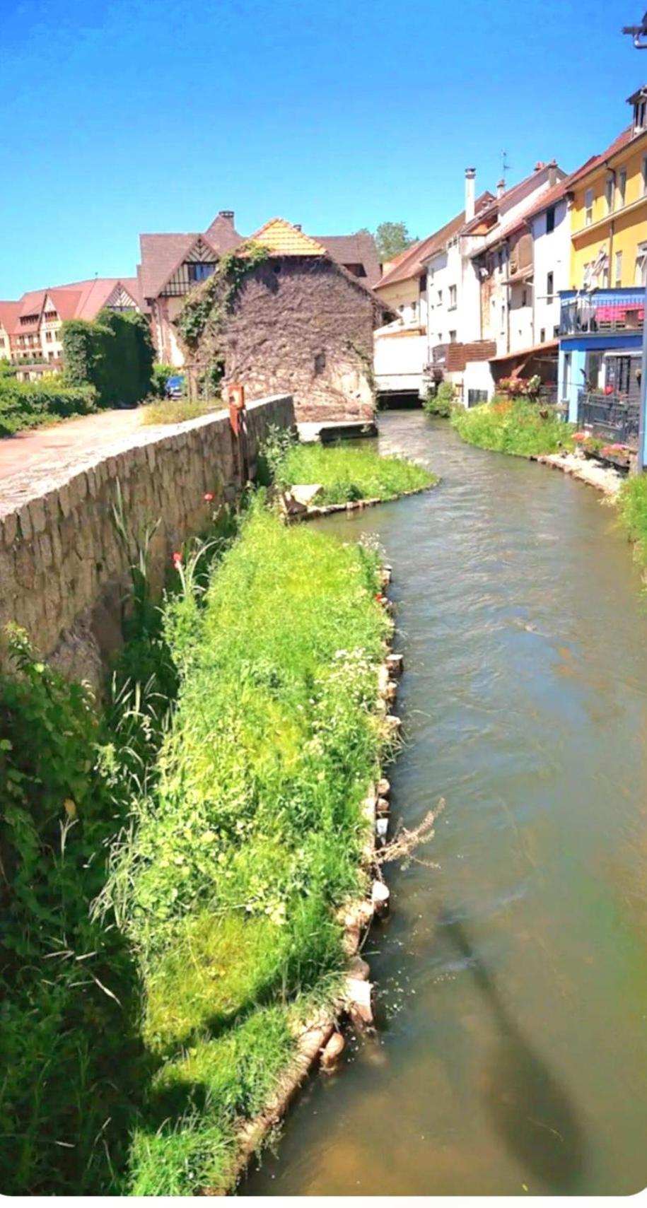 L'Atypique des Remparts