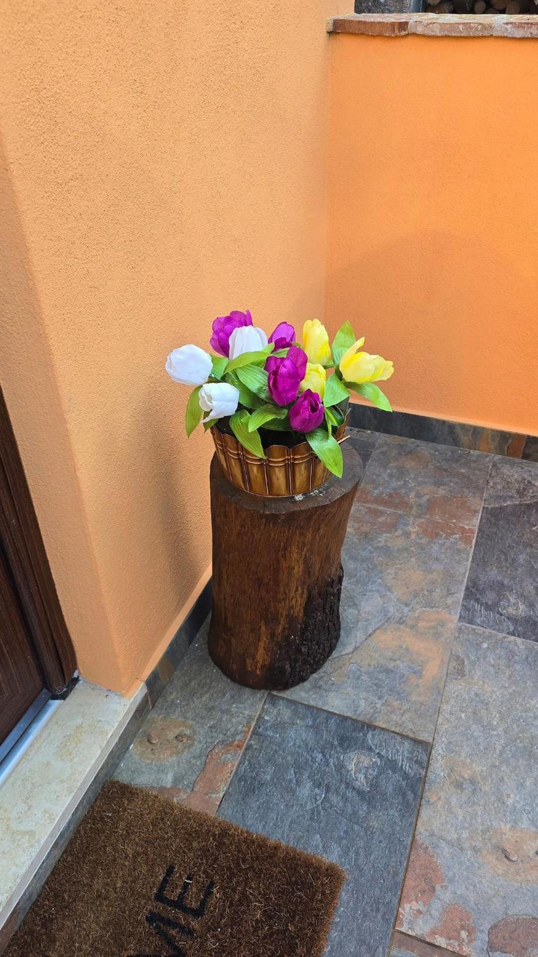 Il Richiamo della Cascata