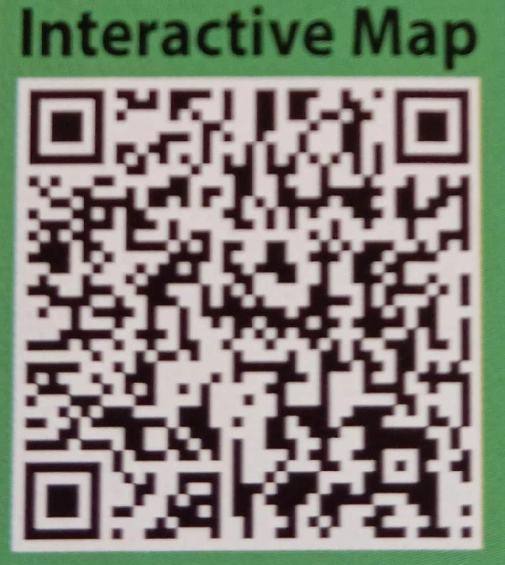 Your Porto Home Lake Mountain