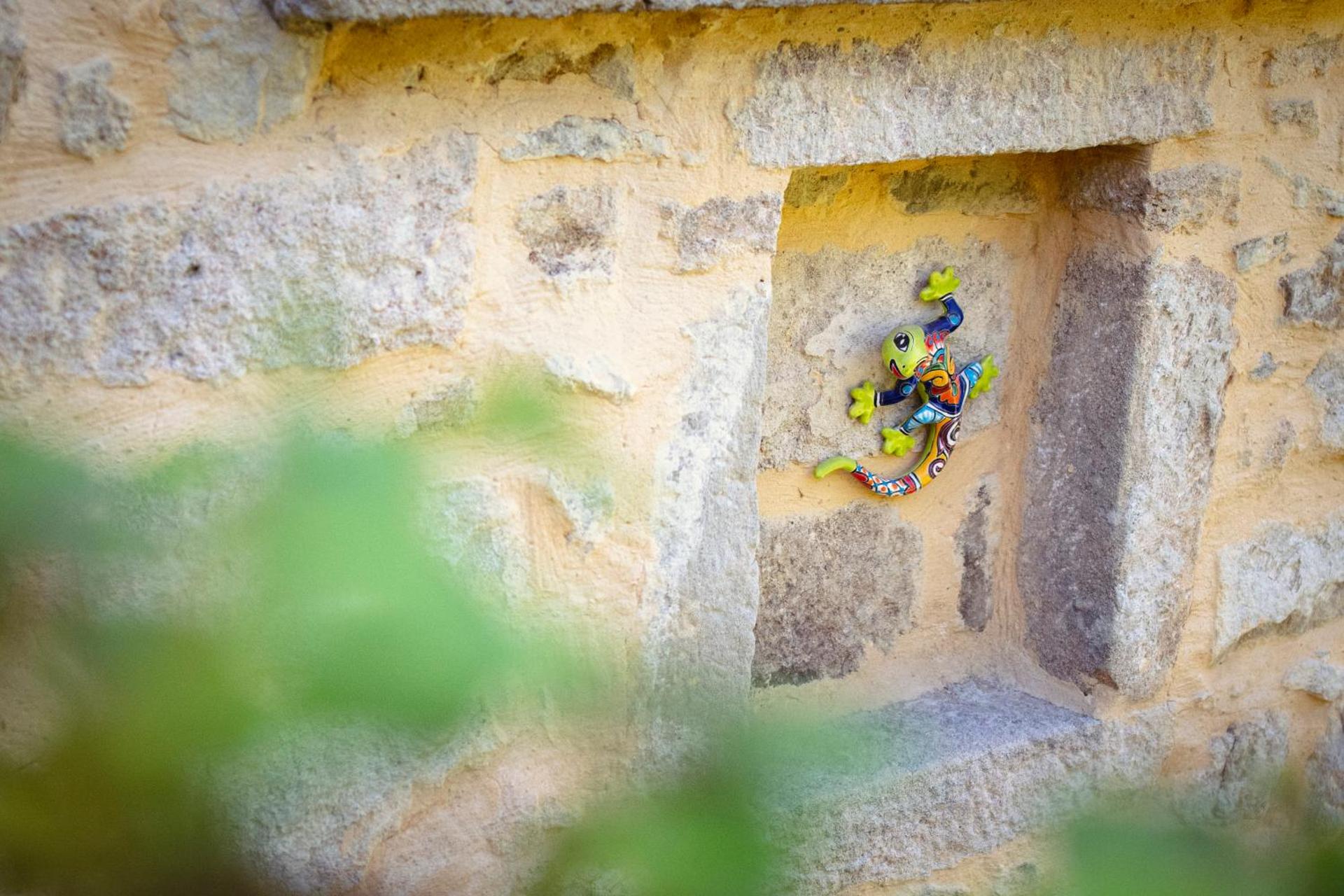 maison de la salamandre