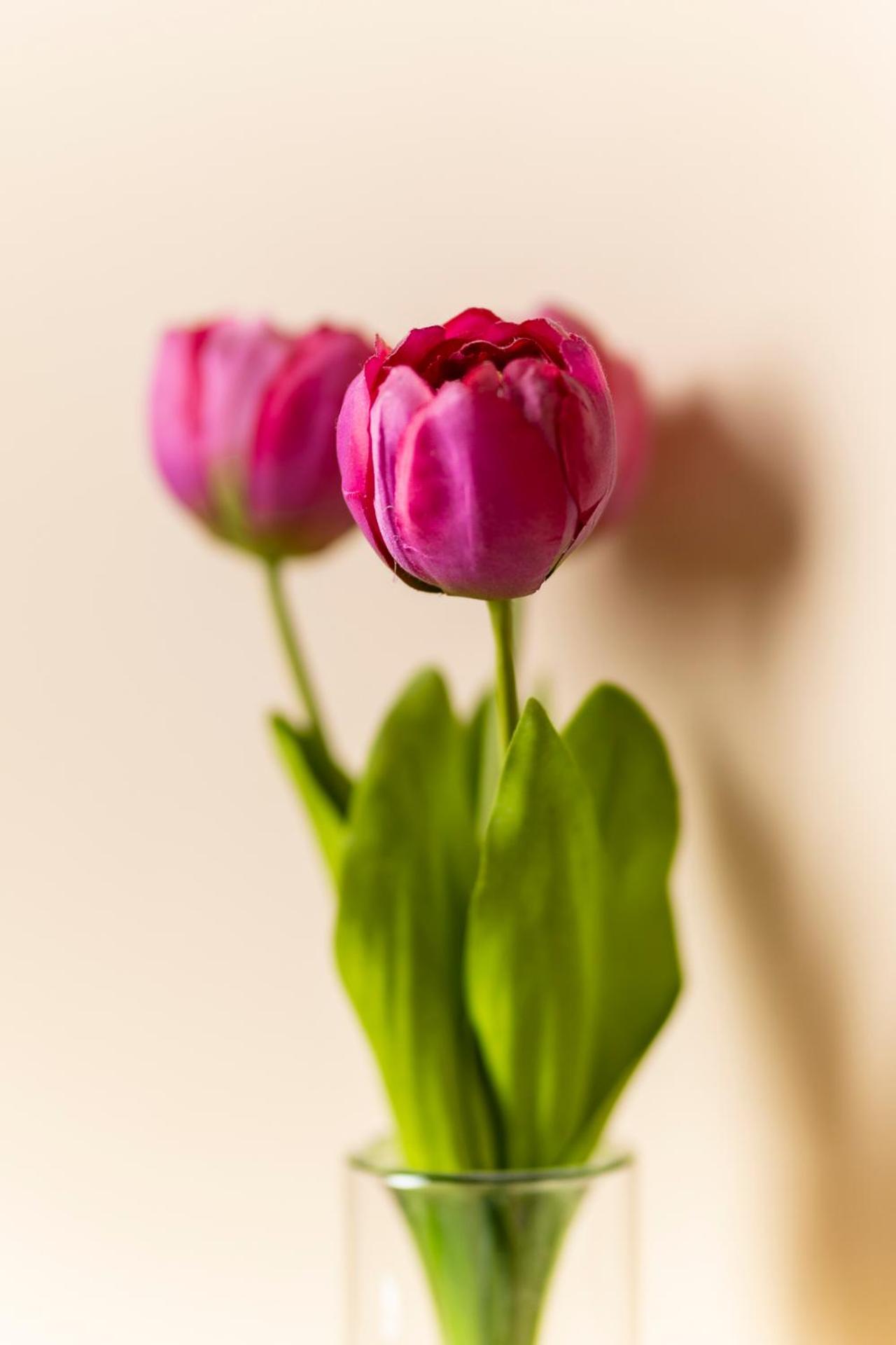 Affittacamere Il Tiro a Segno