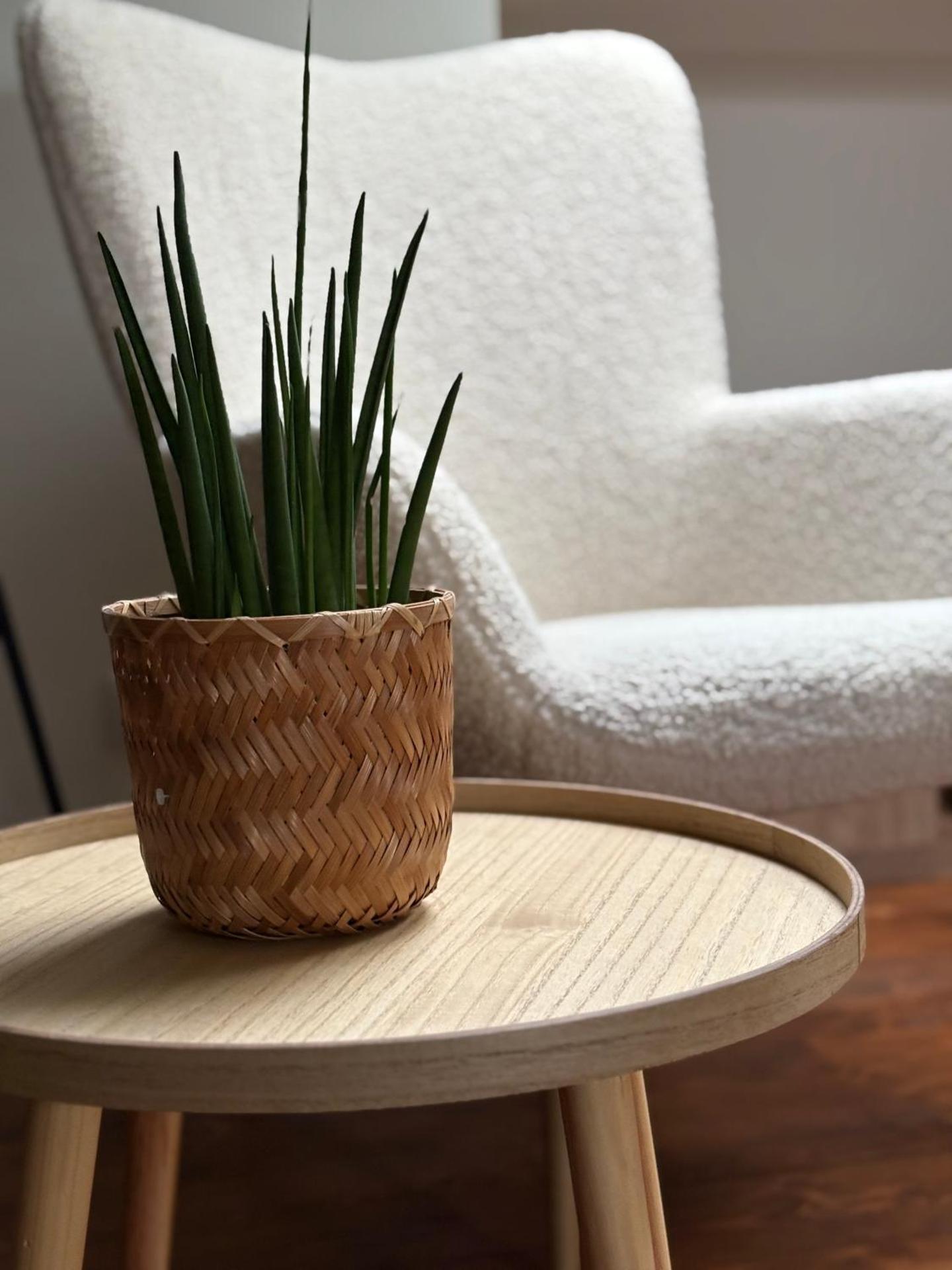 Rezidence U Kamenného mostu