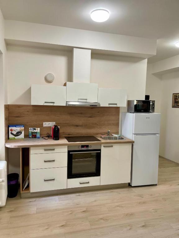 City Center Apartments - Moderna Brno Římské náměstí I