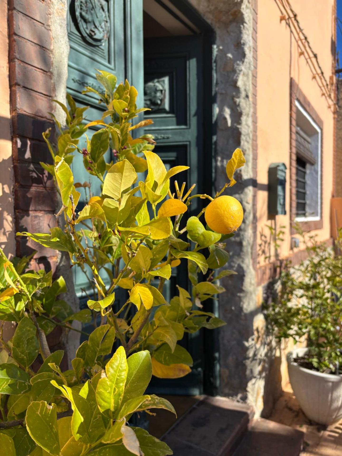 Casa Rural con encanto Señorio Manchego ALBACETE