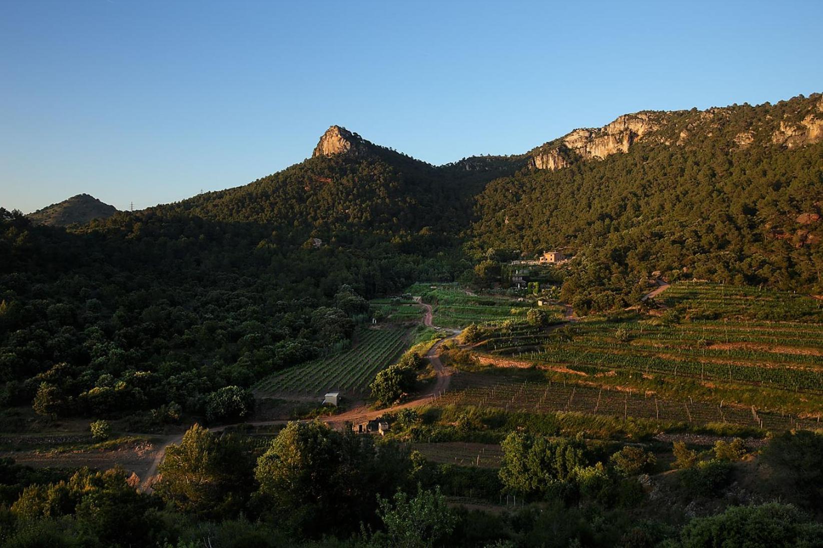 Foïna dels Fontanals