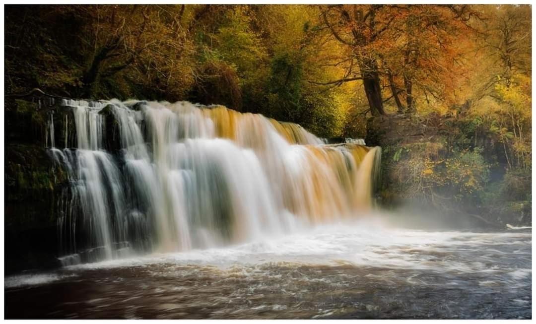 Natural landscape