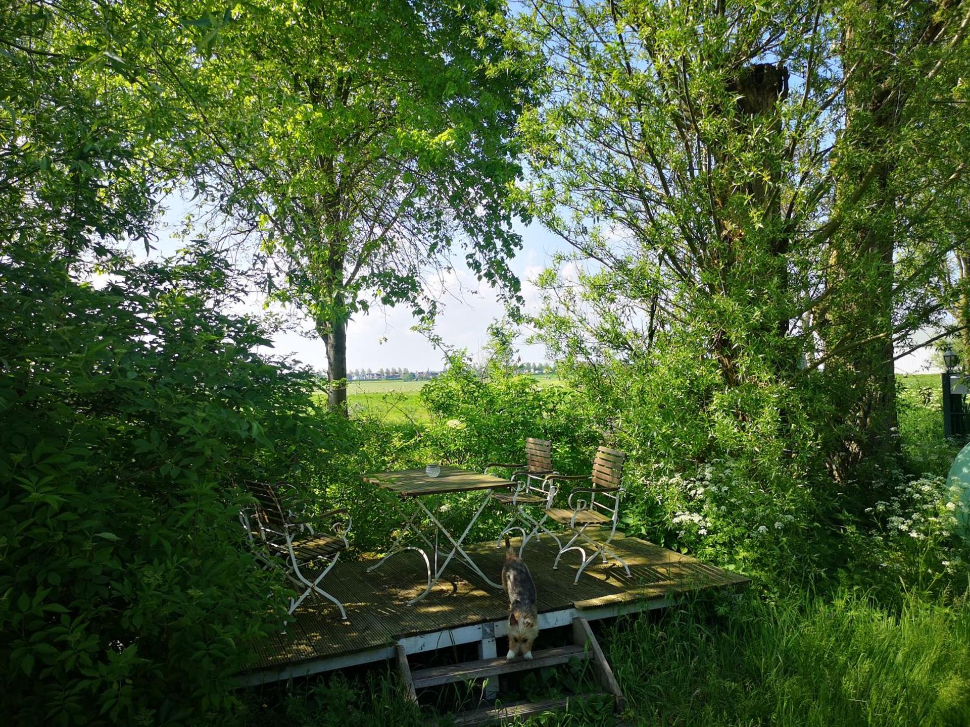 Modern Cozy Asian Style bedroom with Kingsize Spa bath