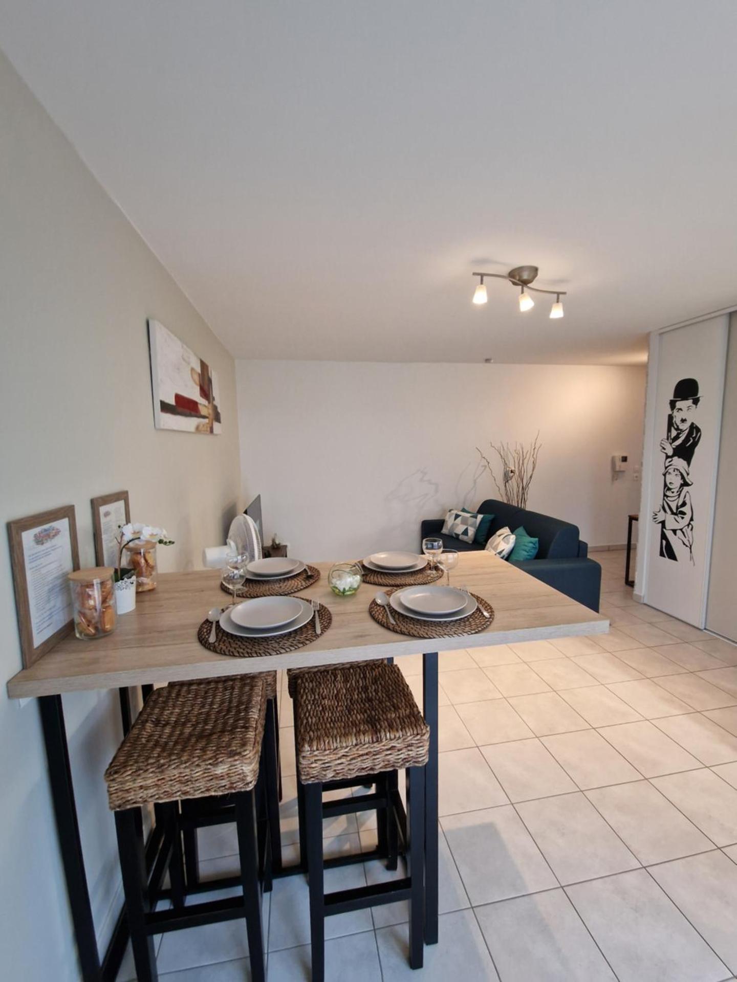 Cosy Decines Groupama Stadium-LDLC Arena Climatisé