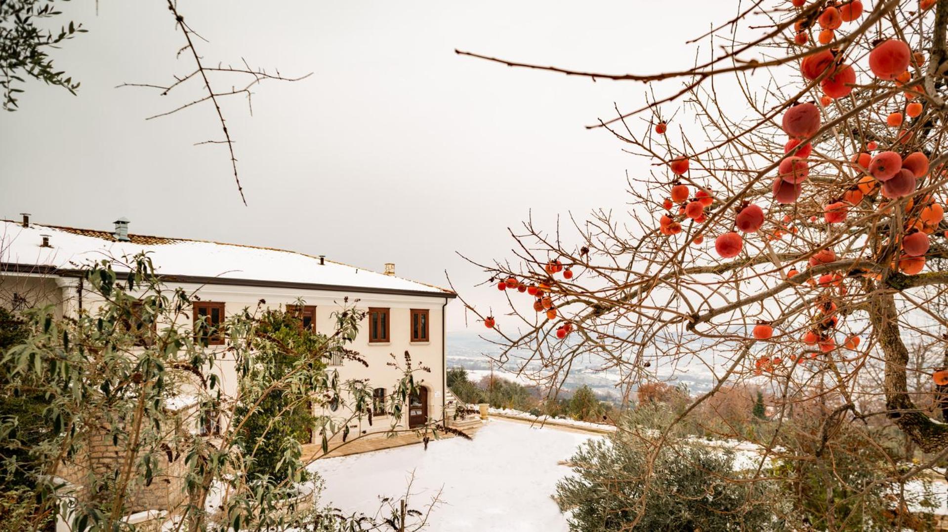Il Mulino della Signora Luxury Country House