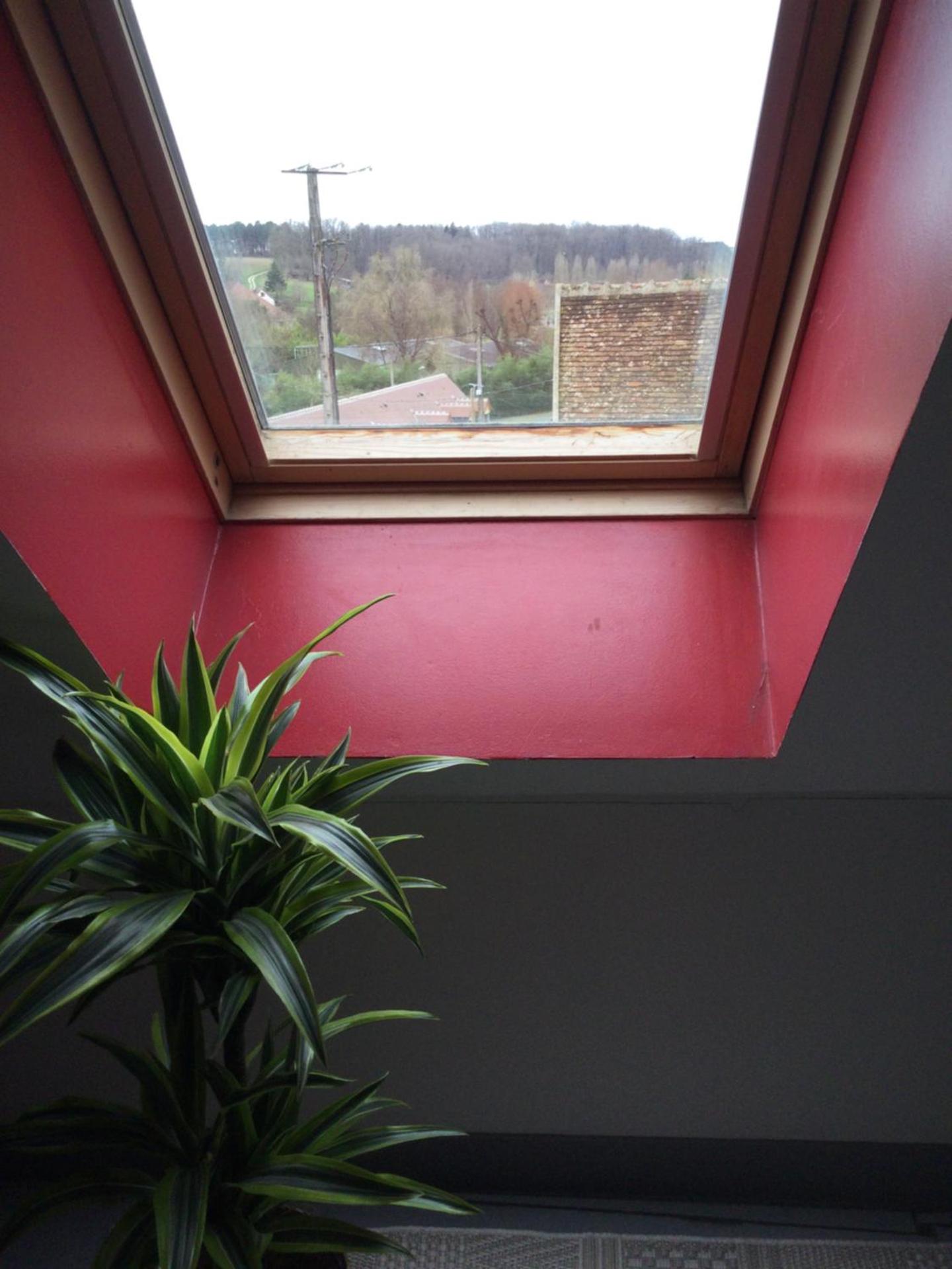 Le petit secret au pied du zoo