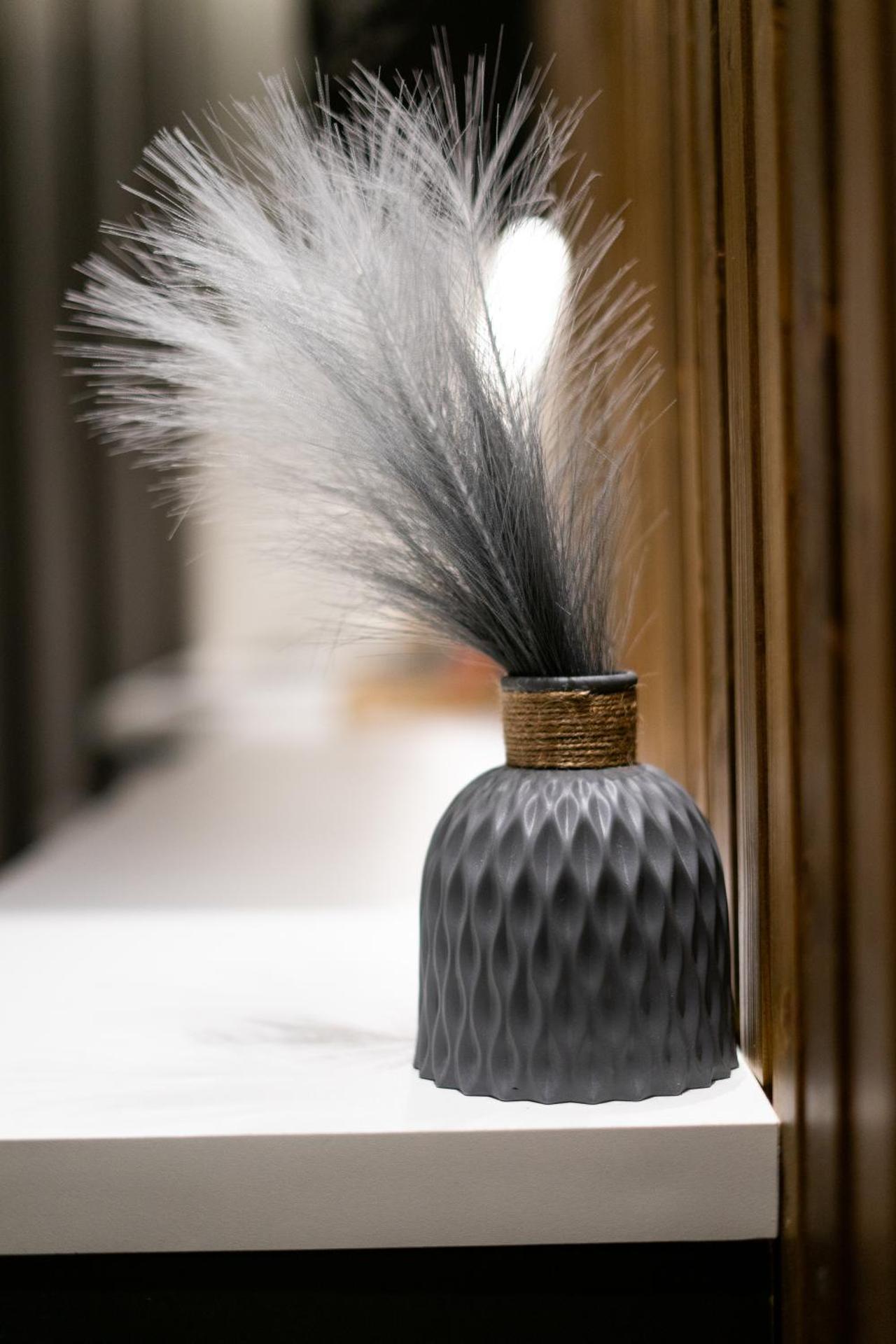 Aellw cozy apartment 1