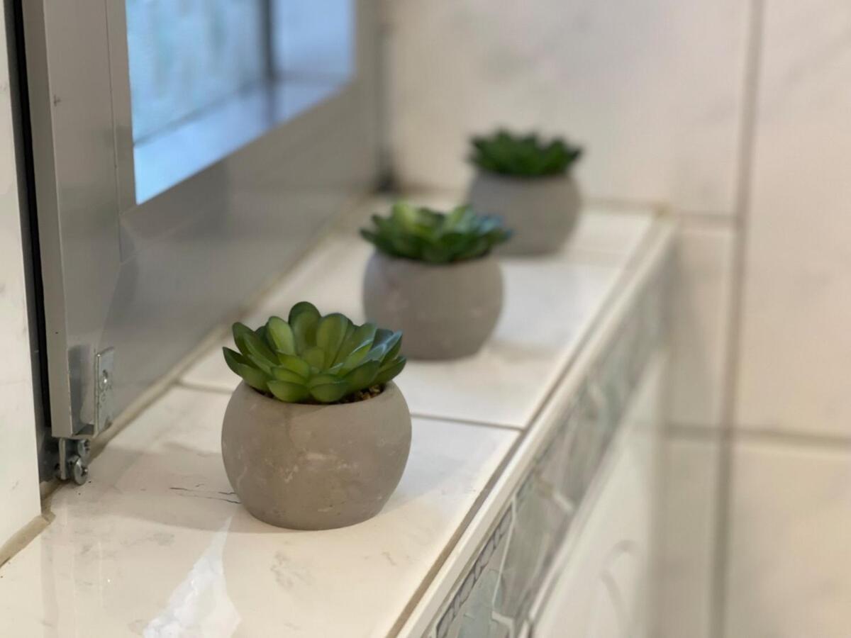 Auszeit am Rhein 3 - Rhinelove