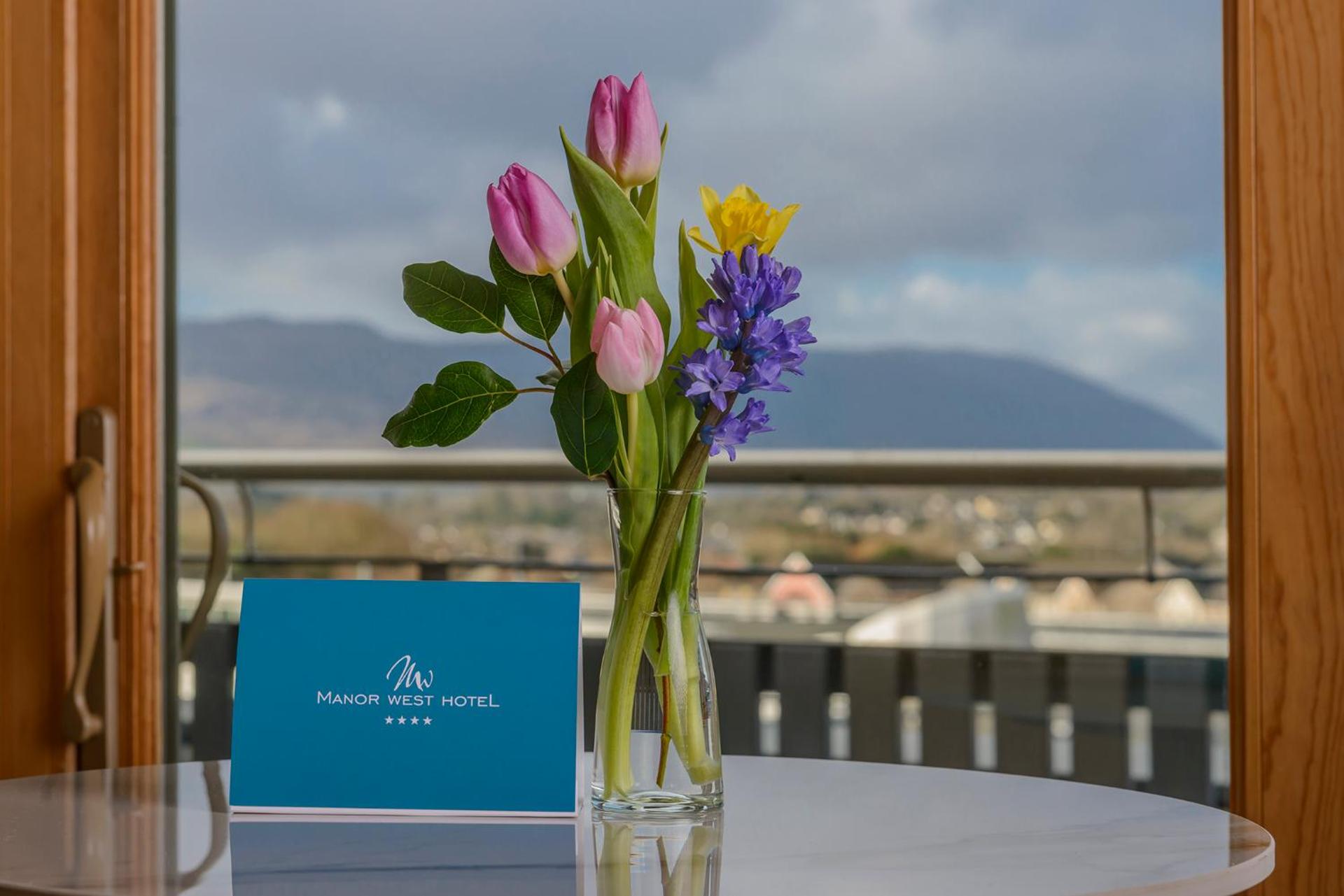 View (from property/room)