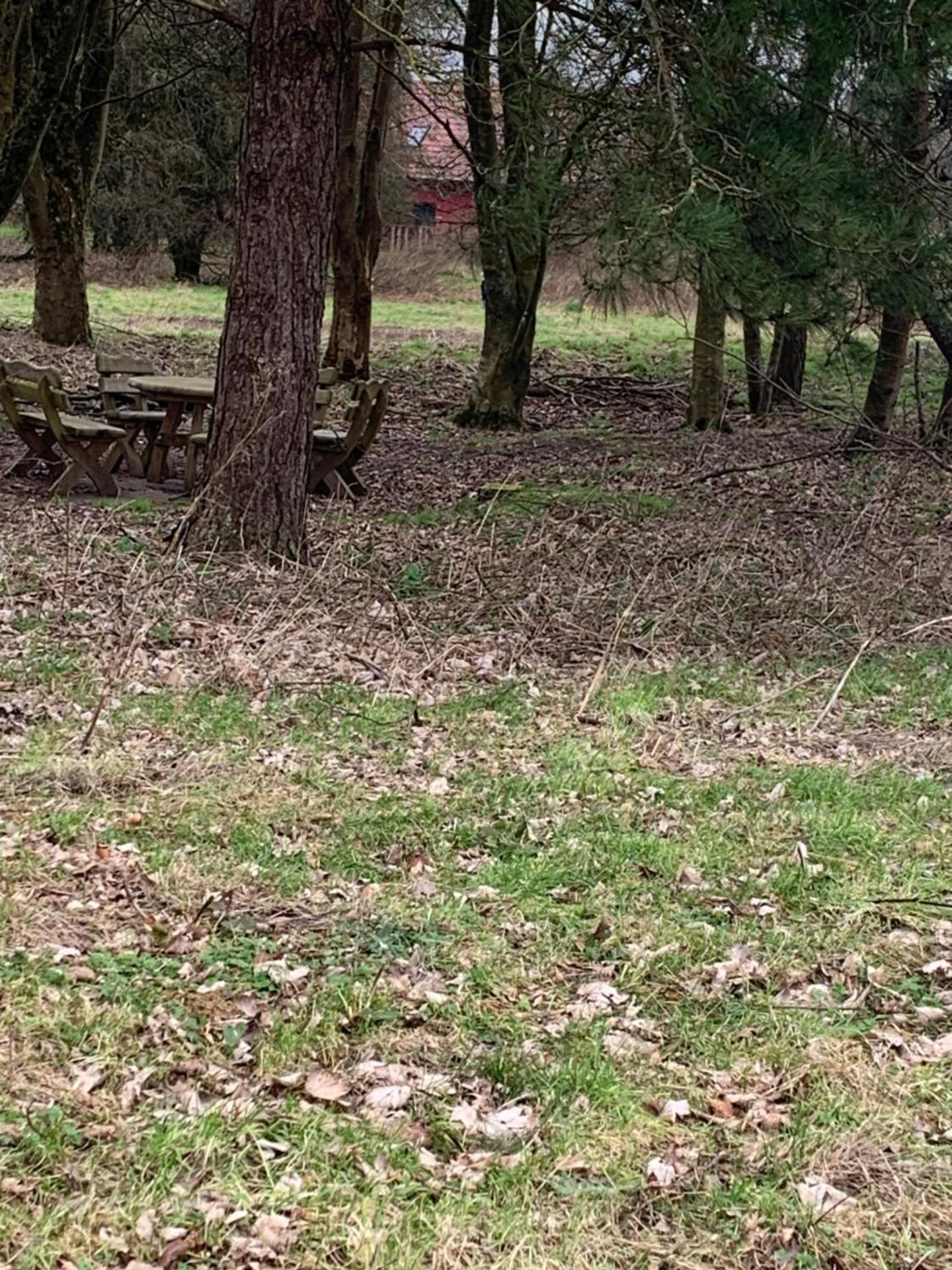 Children play ground