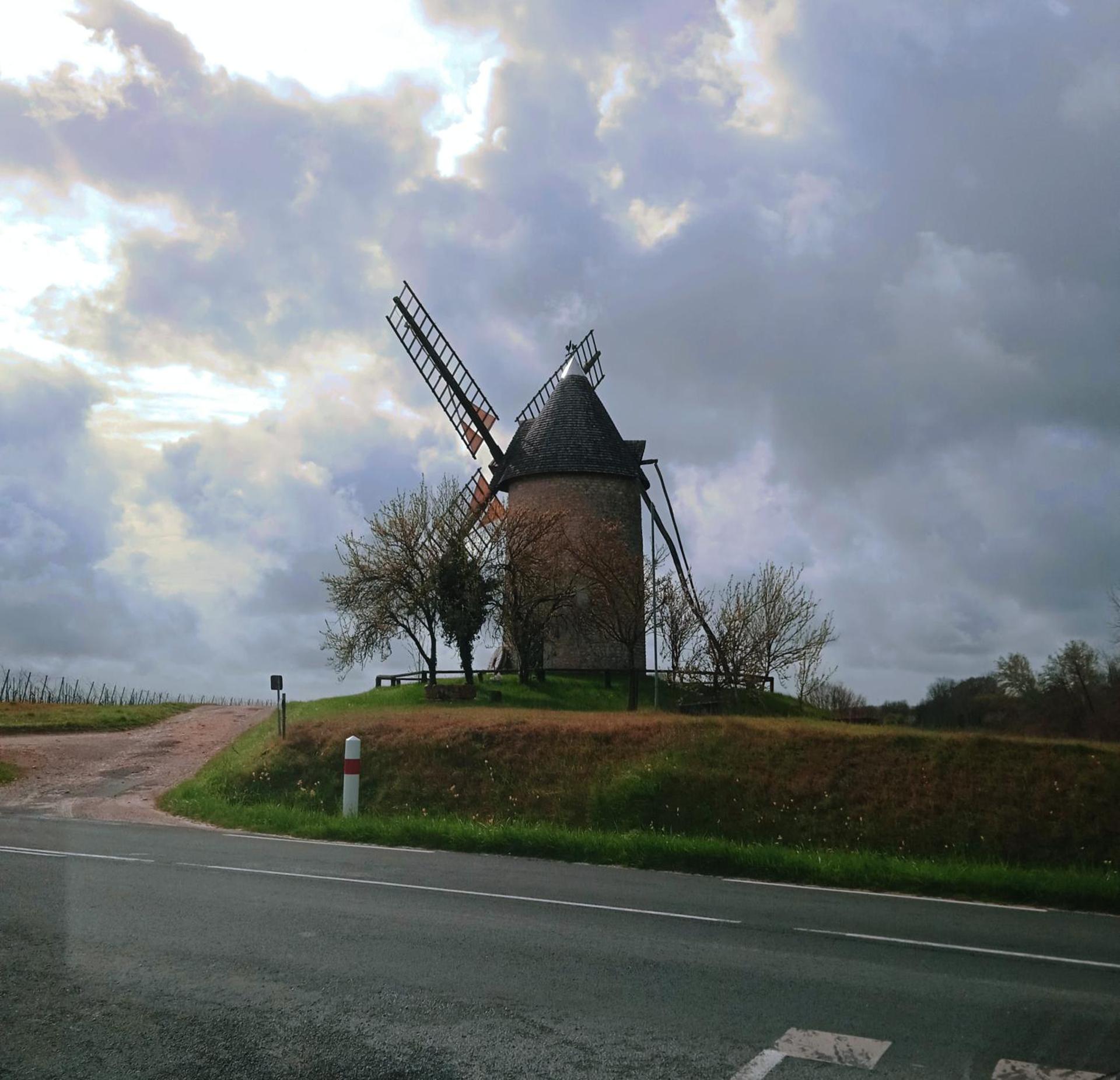 Grand studio récent indépendant